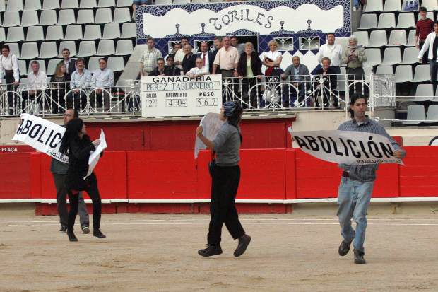 Bullfighting Protest - Animal Equality
