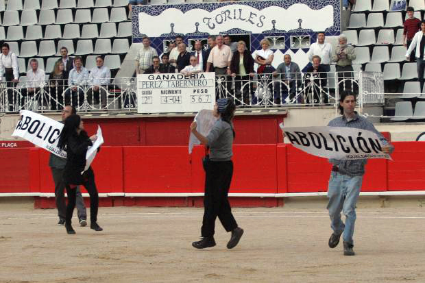 Bullfighting Protest - Animal Equality