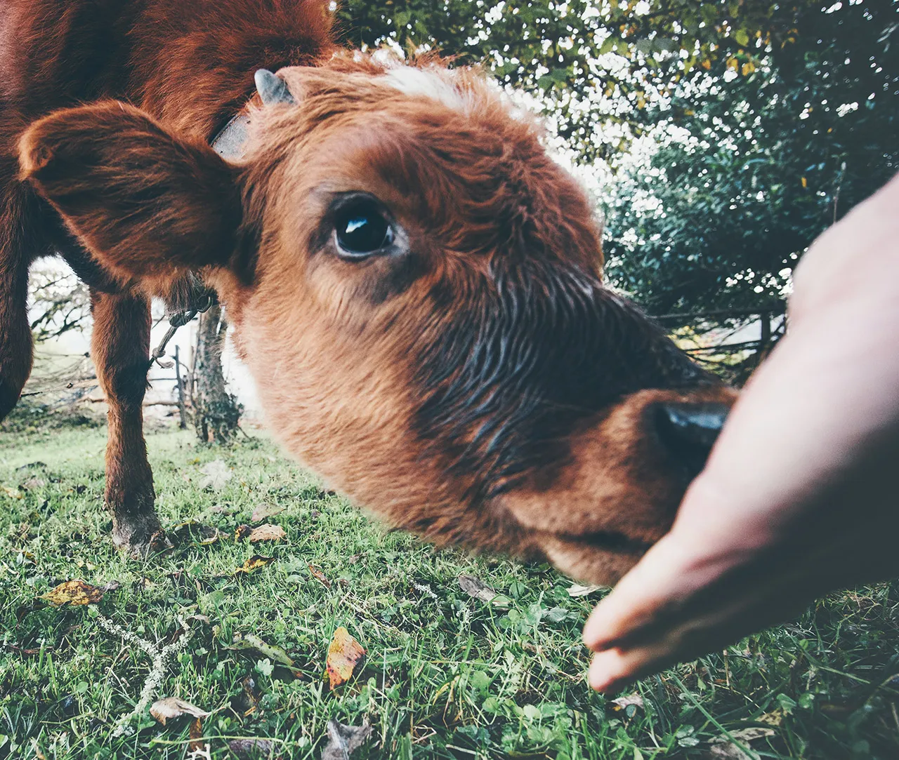 Autumn 2025 Impact Report 1