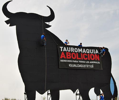 timeline_500x420_bull_sign_2008_spain