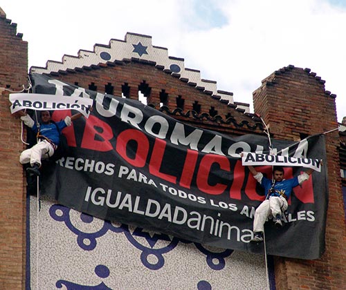 timeline_500x420_bullfighting_banner_barcelona_2008_spain