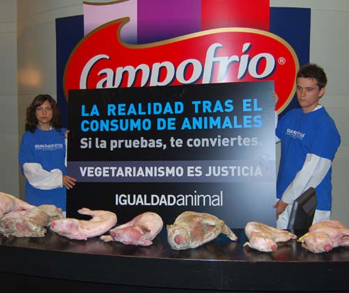 timeline_500x420_campofrio_protesta_2008_spain