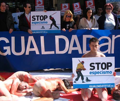 timeline_500x420_seals_canada_201_spain