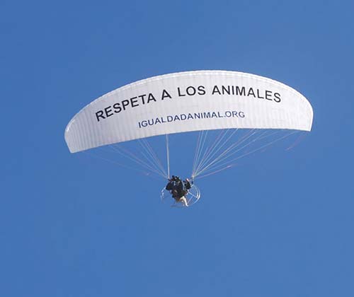 timeline_500x420_tordesillas_air_protest_2008_spain