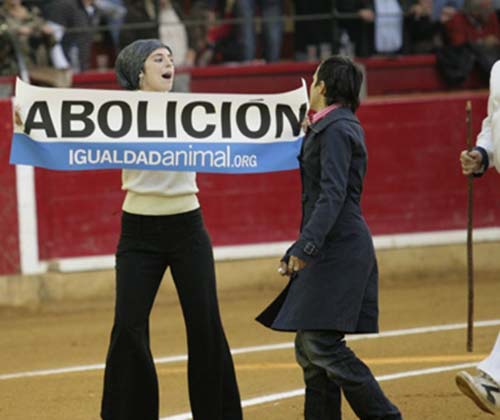 timeline_500x420_zaragoza_bullfight_2008_spain