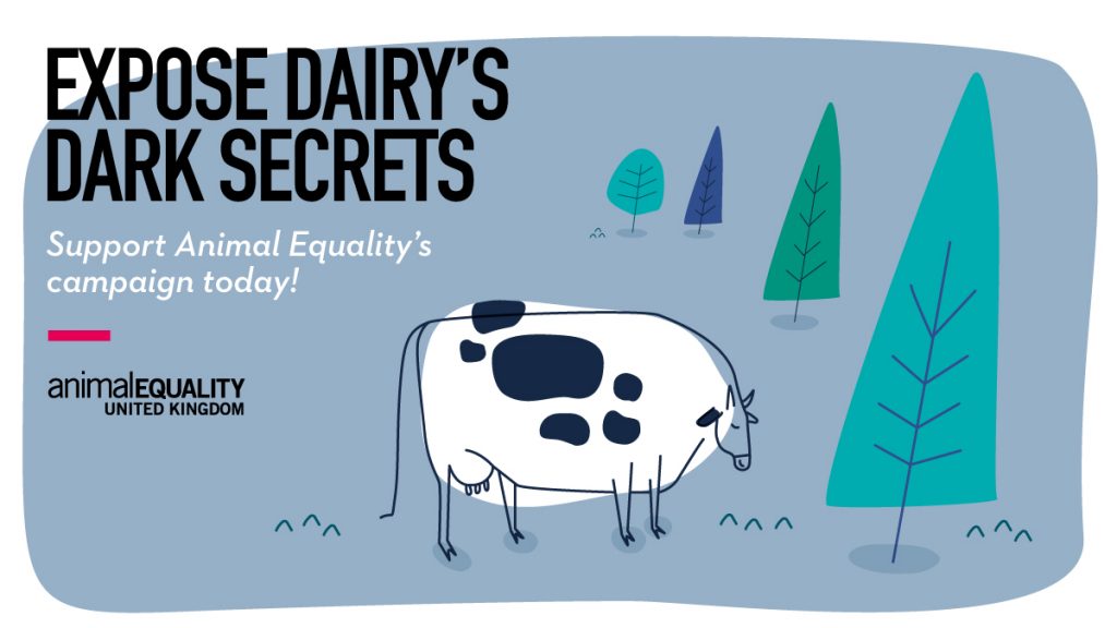Things the dairy industry doesn't want you to know… - Animal Aid