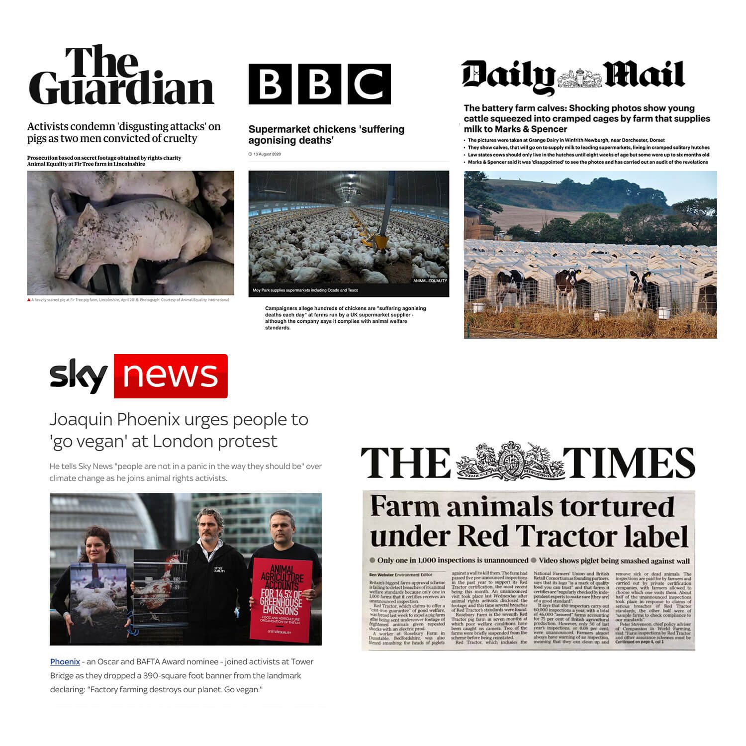 Animal Equality - News Headlines