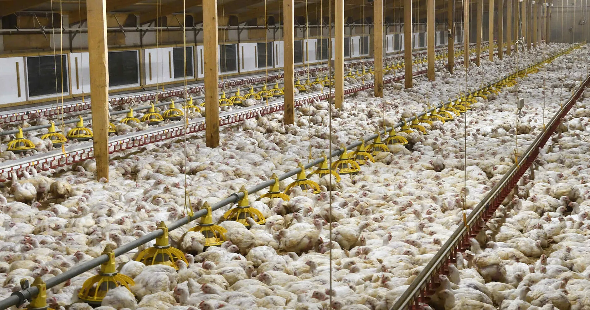 Autumn 2025 Impact Report 15