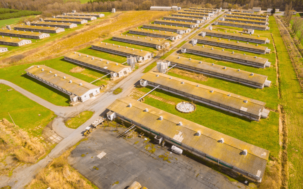 factory farms
