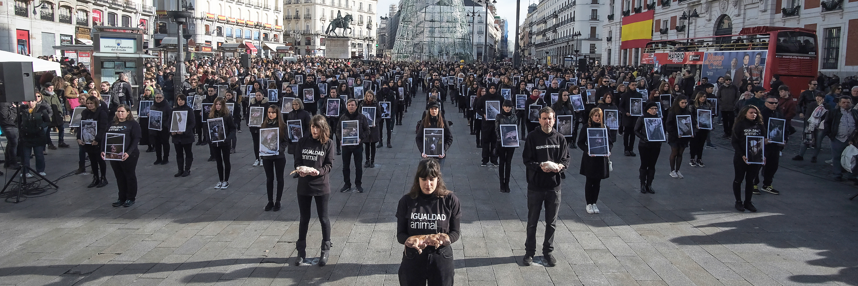 Large demo held by Animal Equality