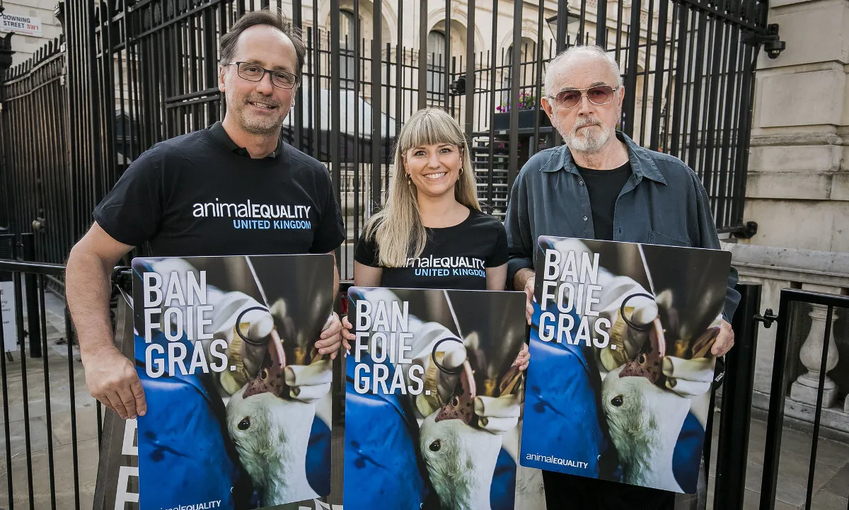 500 Days Since the UK Government Committed to a Foie Gras Import Ban 4