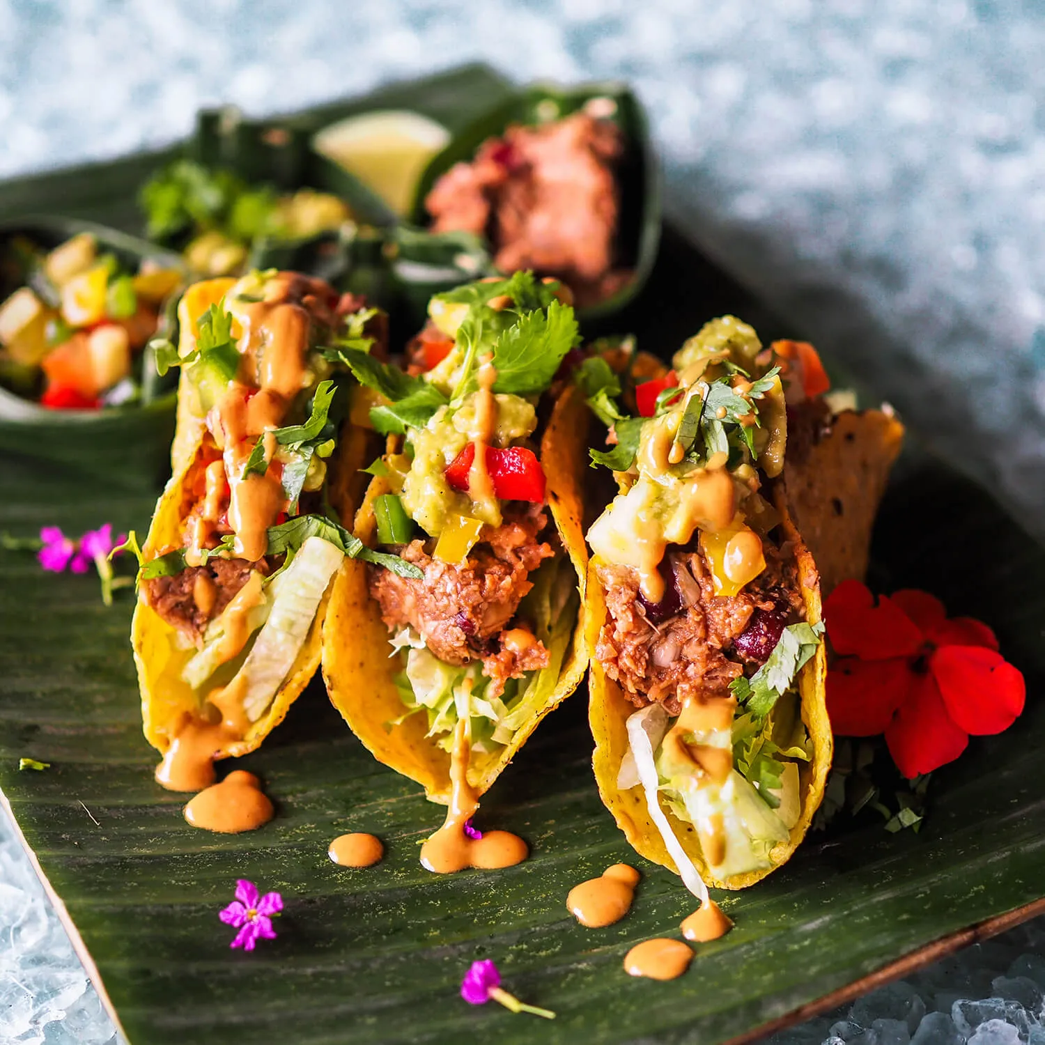 2026 Q1 IMPACT REPORT 12 vegan jackfruit tacos