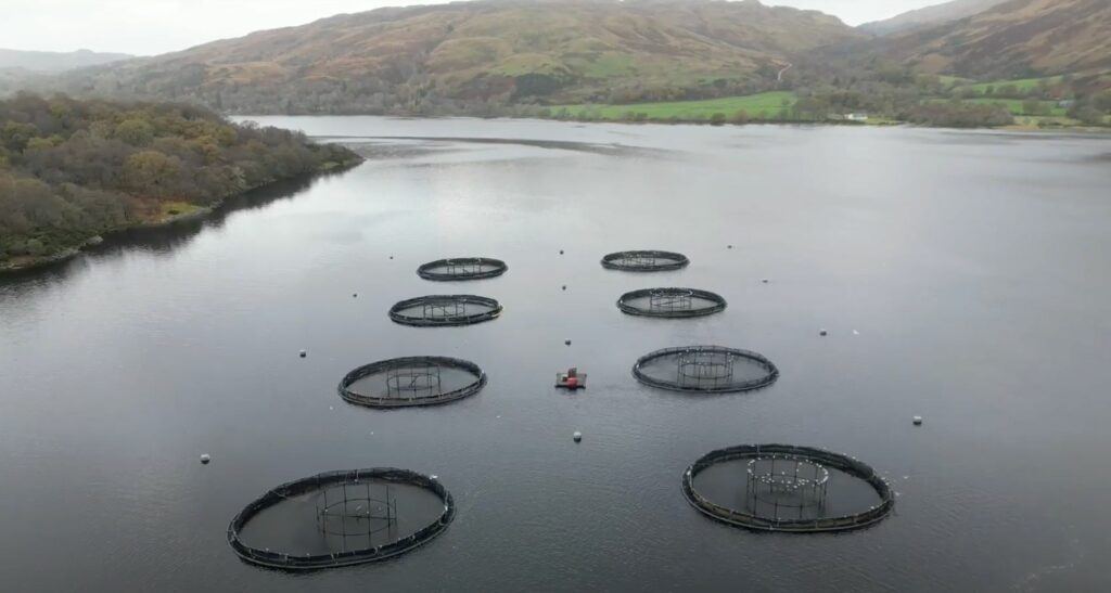 3 Facts That Will Change Your Mind About Fish Farming