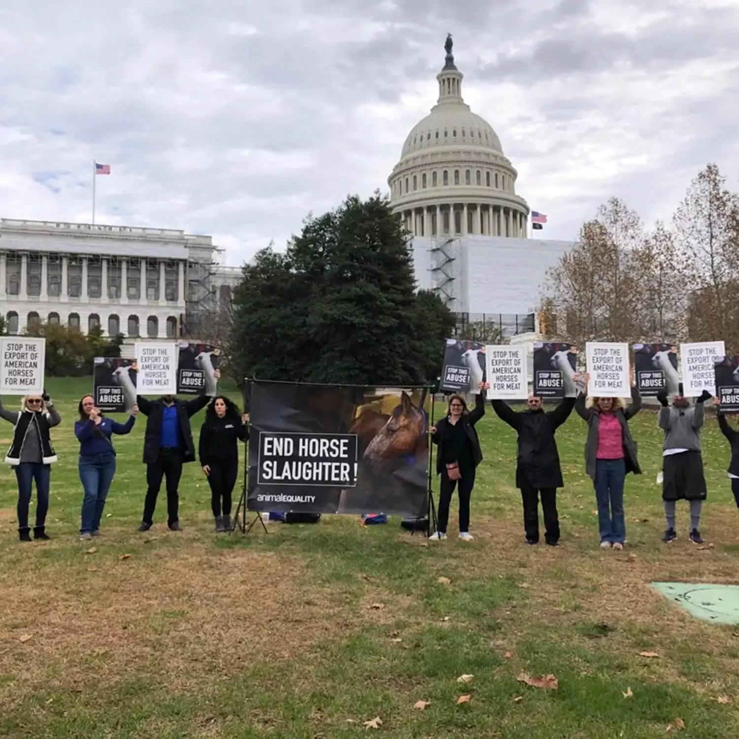 Animal Equality volunteers protesting at Capitol Hill against the horse meat trade