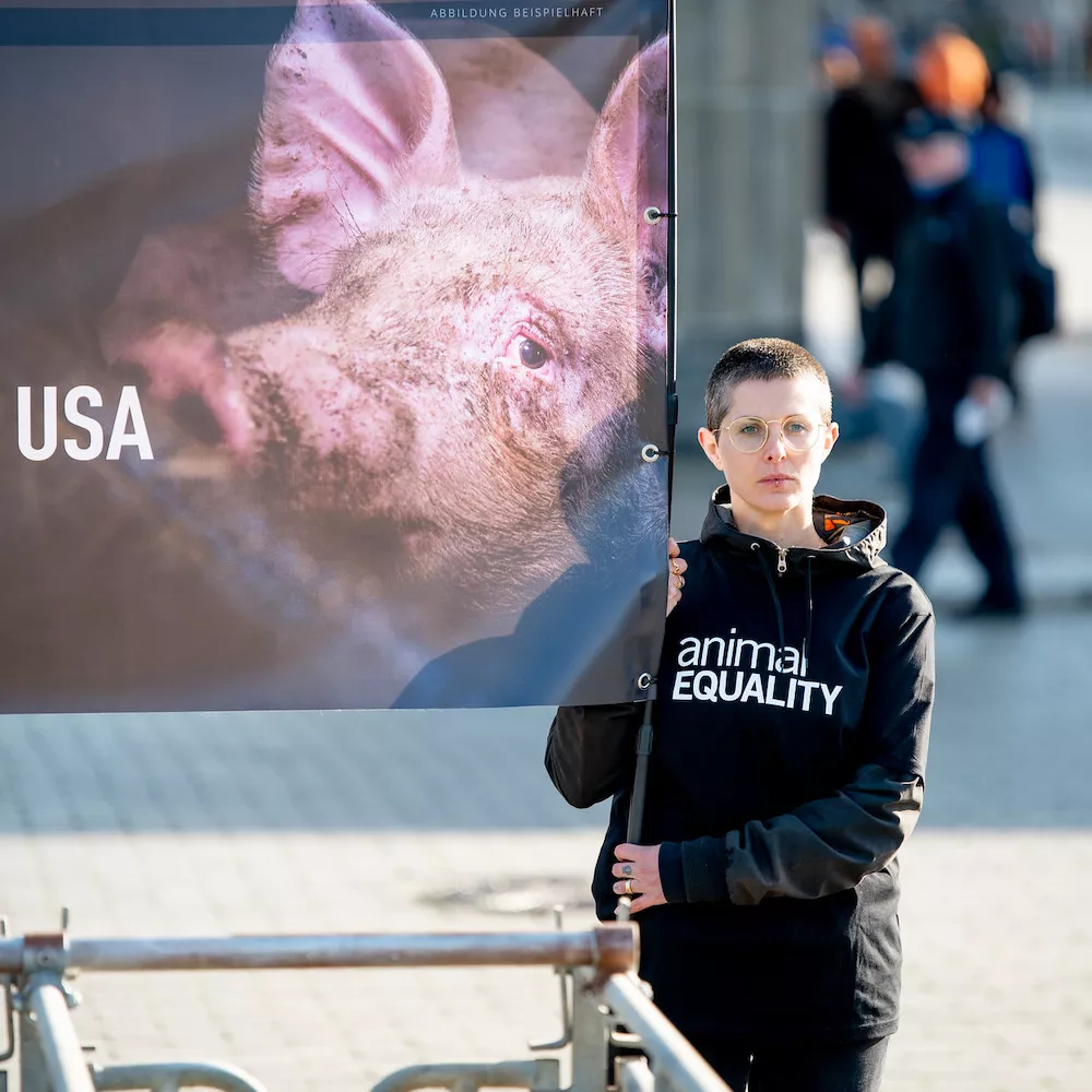 Animal Equality activist with a pig banner during a protest