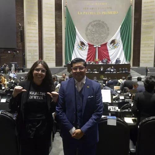 Members of Animal Equality in Mexico stand before Congress.