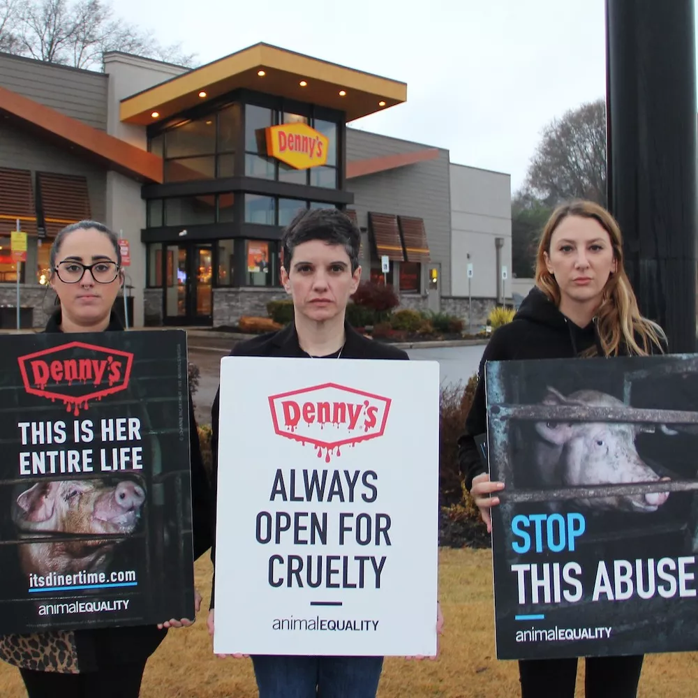 Animal Equality protest outside of a Denny’s restaurant during a week of actions in Spartanburg, South Carolina, where Denny’s is headquartered. 