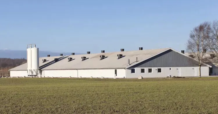 Exterior of factory farm