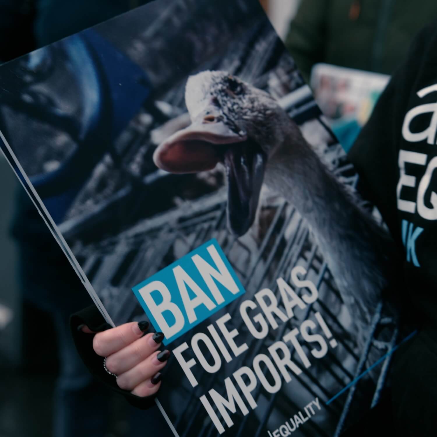 ban foie gras leaflet