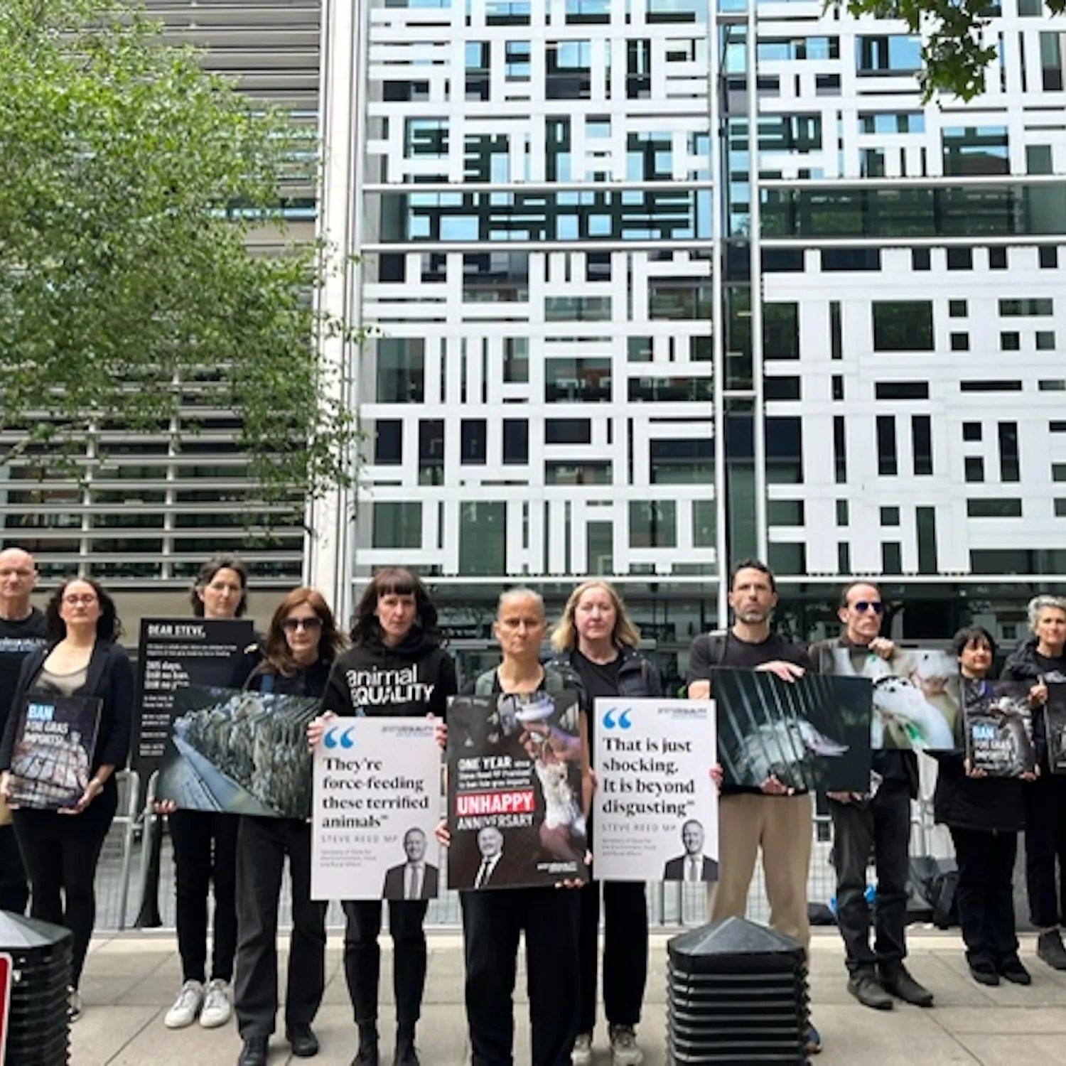 One year on: Animal Equality UK marks anniversary of broken promise to ban foie gras imports