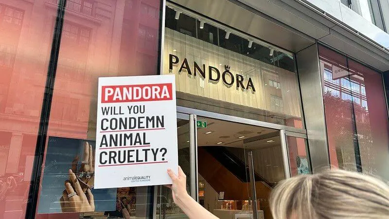 Pandora demo 2 (800 x 450 px)