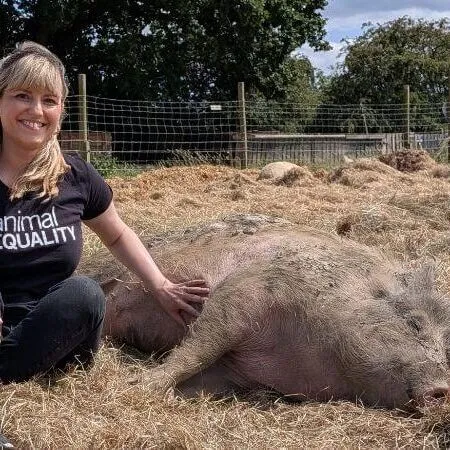 Sign our birthday card 7 Abi sanctuary pig (1)