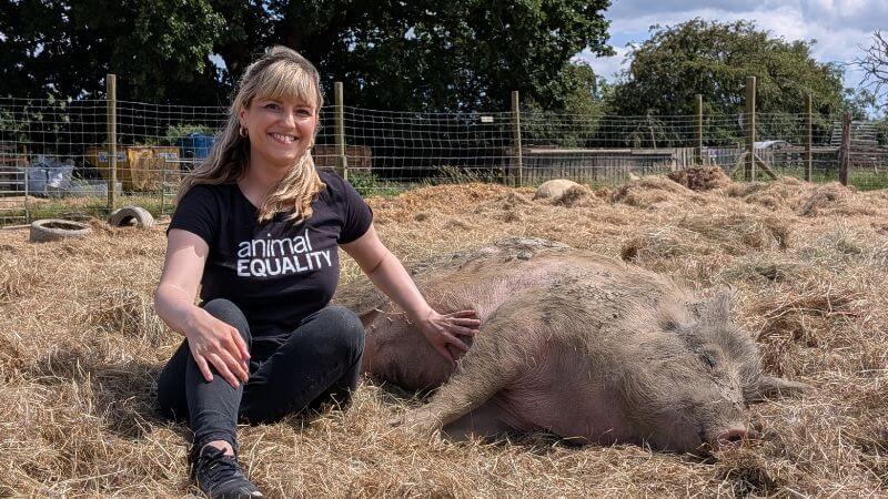 Abi sanctuary pig (1)