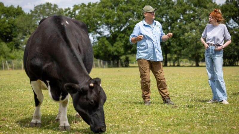 Diane Morgan Sanctuary cow 2025 (1)