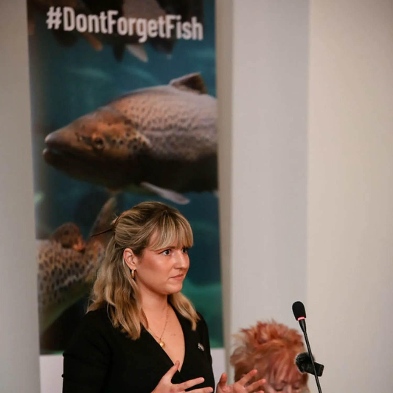 Dont forget fish abi 1500x1500