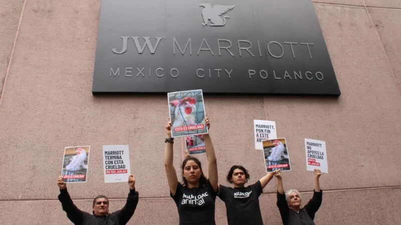 MX protest Marriott 800x450