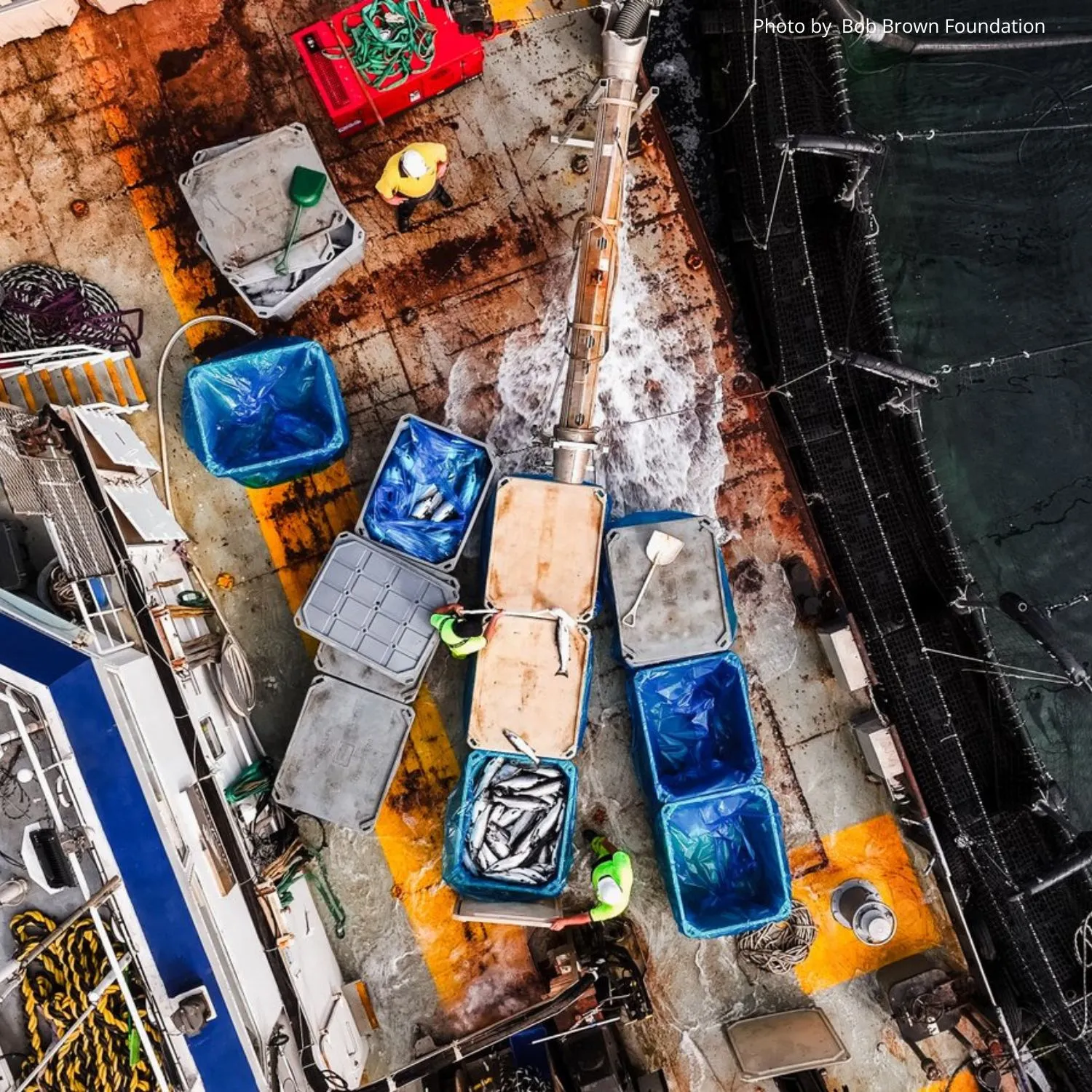 Salmon farm credit: Photo by Bob Brown Foundation