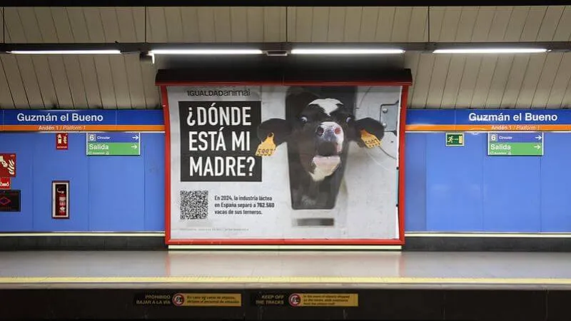 Madrid metro where is my mother 2025 800x450