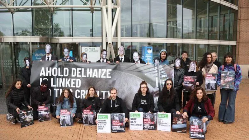 ahold delhaize protest Netherlands 800x450