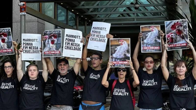 br-mariott protest-rj 800x450