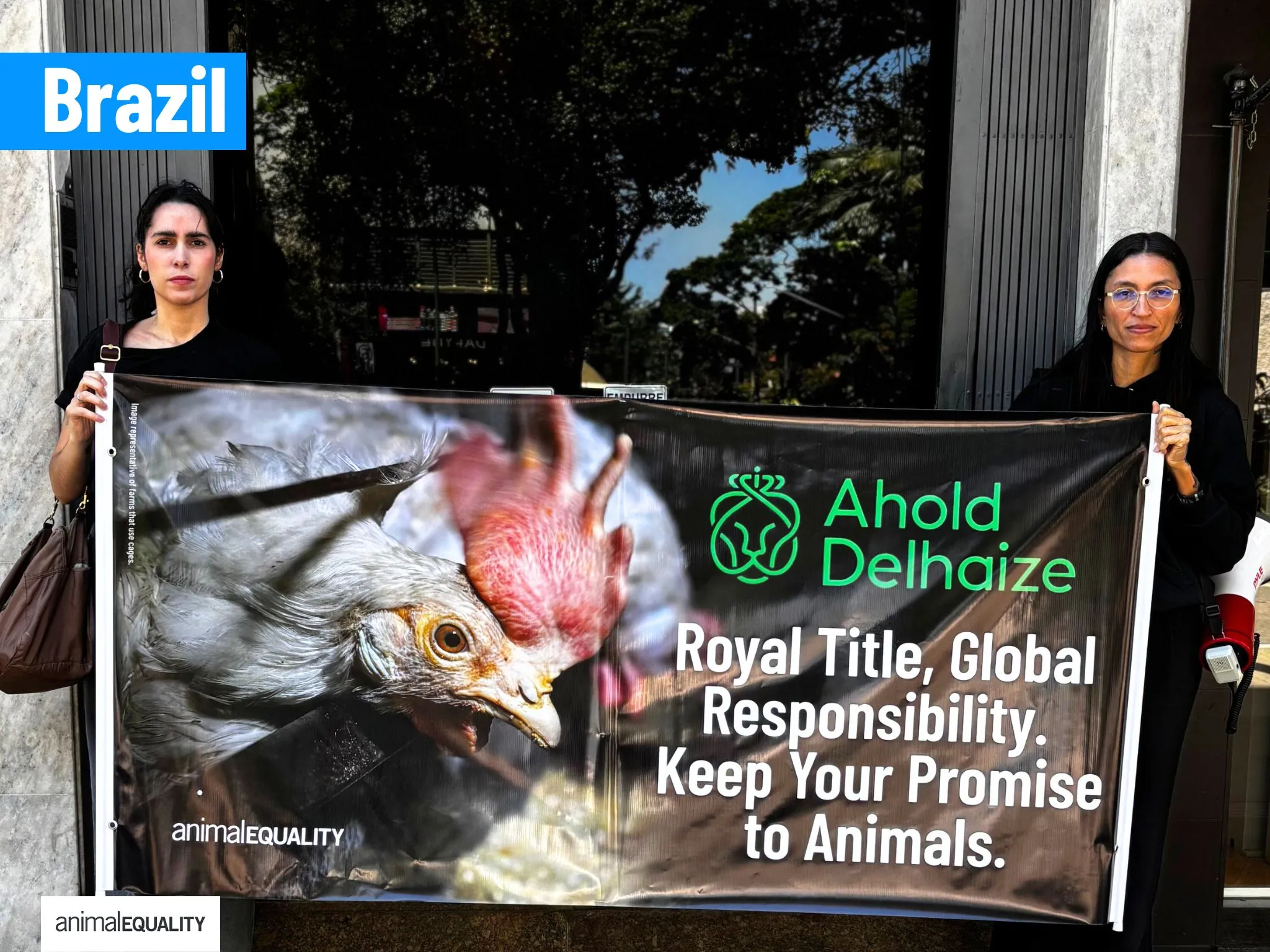 Animal Equality Activists Demand Action Against Cages Outside Dutch Embassies Worldwide 6