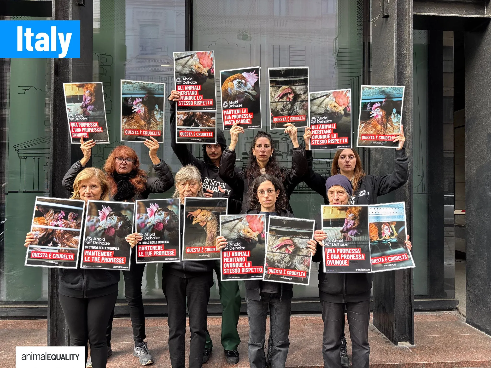 Animal Equality Activists Demand Action Against Cages Outside Dutch Embassies Worldwide 8
