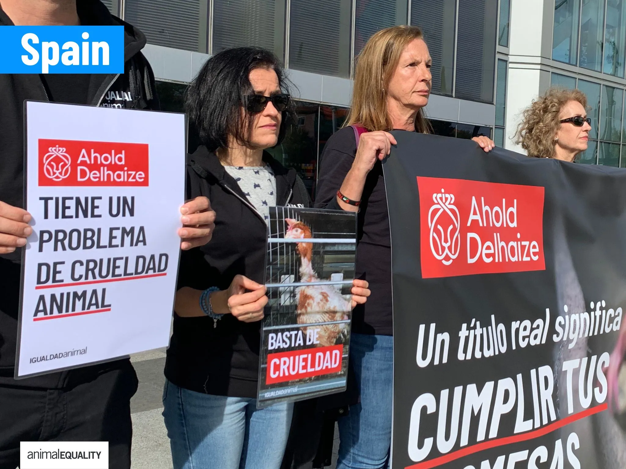 Animal Equality Activists Demand Action Against Cages Outside Dutch Embassies Worldwide 9