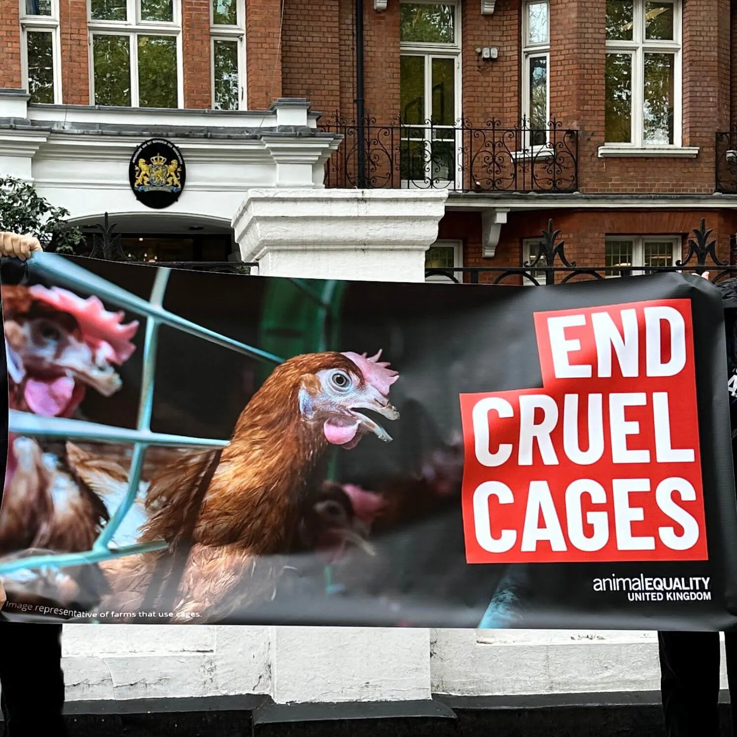 End Cruel Cages banner outside the Dutch Embassy in London