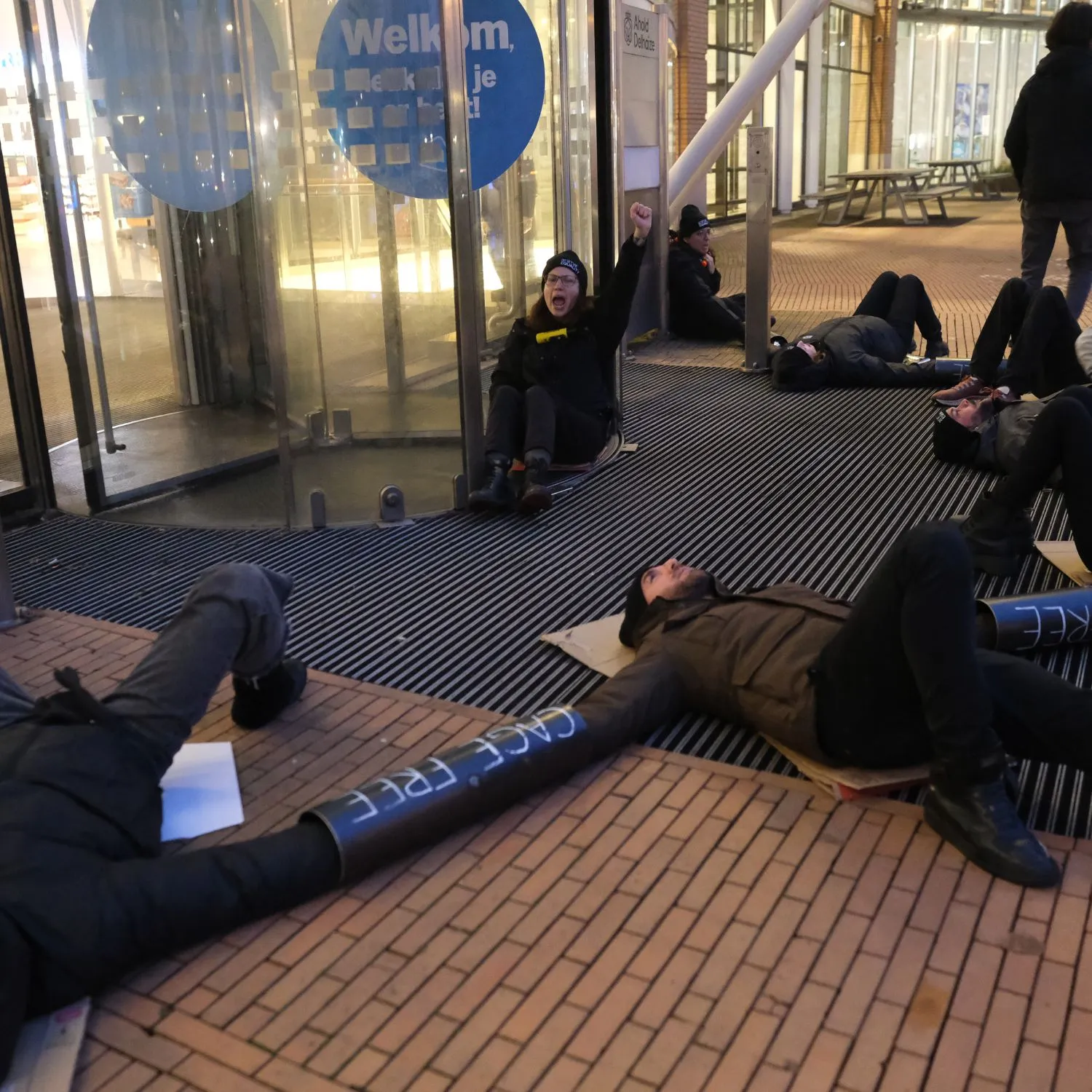 Activists chain to Ahold Delhaize HQ for caged hens