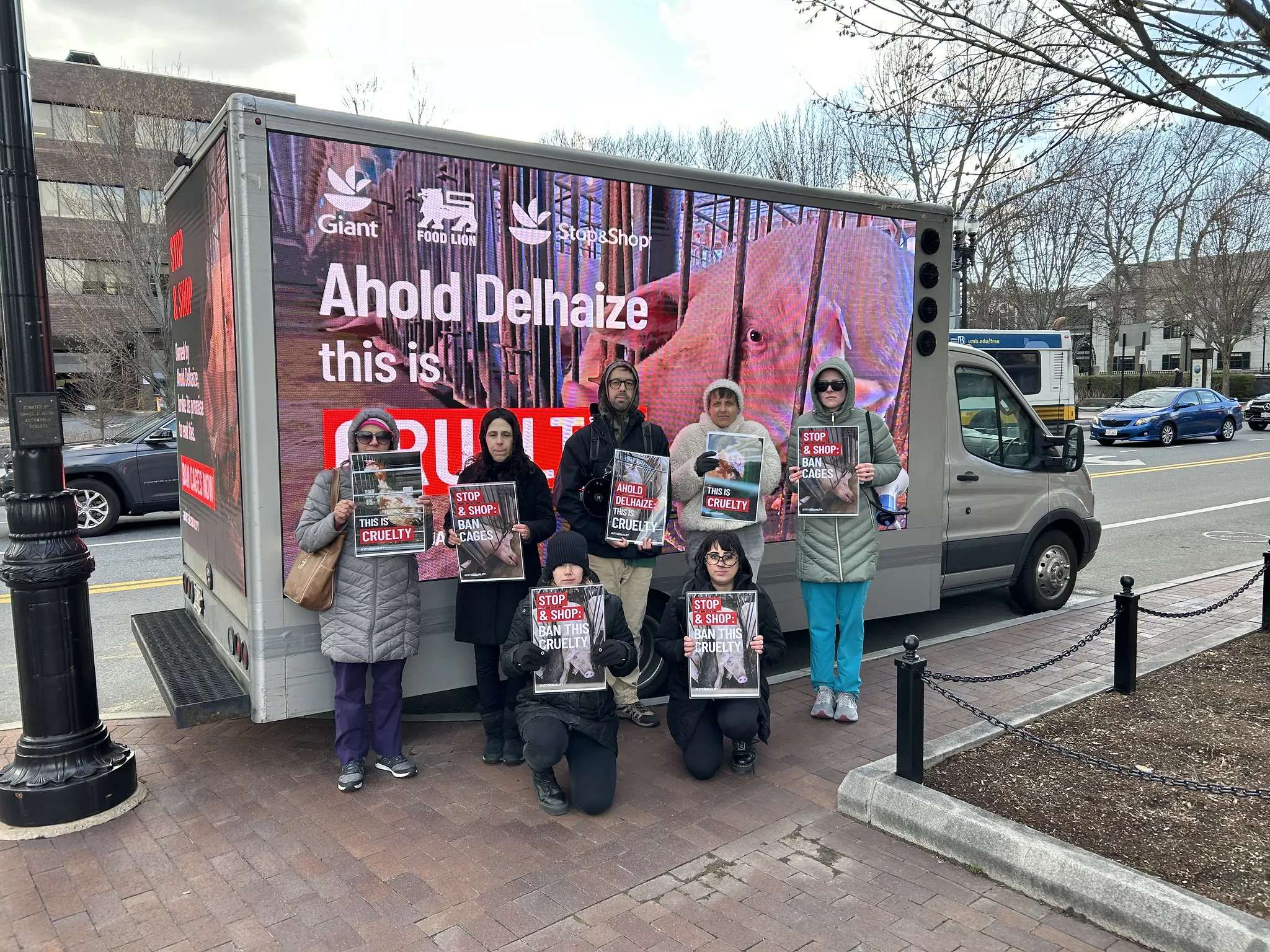 Supermarket chain faces global backlash over delays on delivering on pledge for animals 10