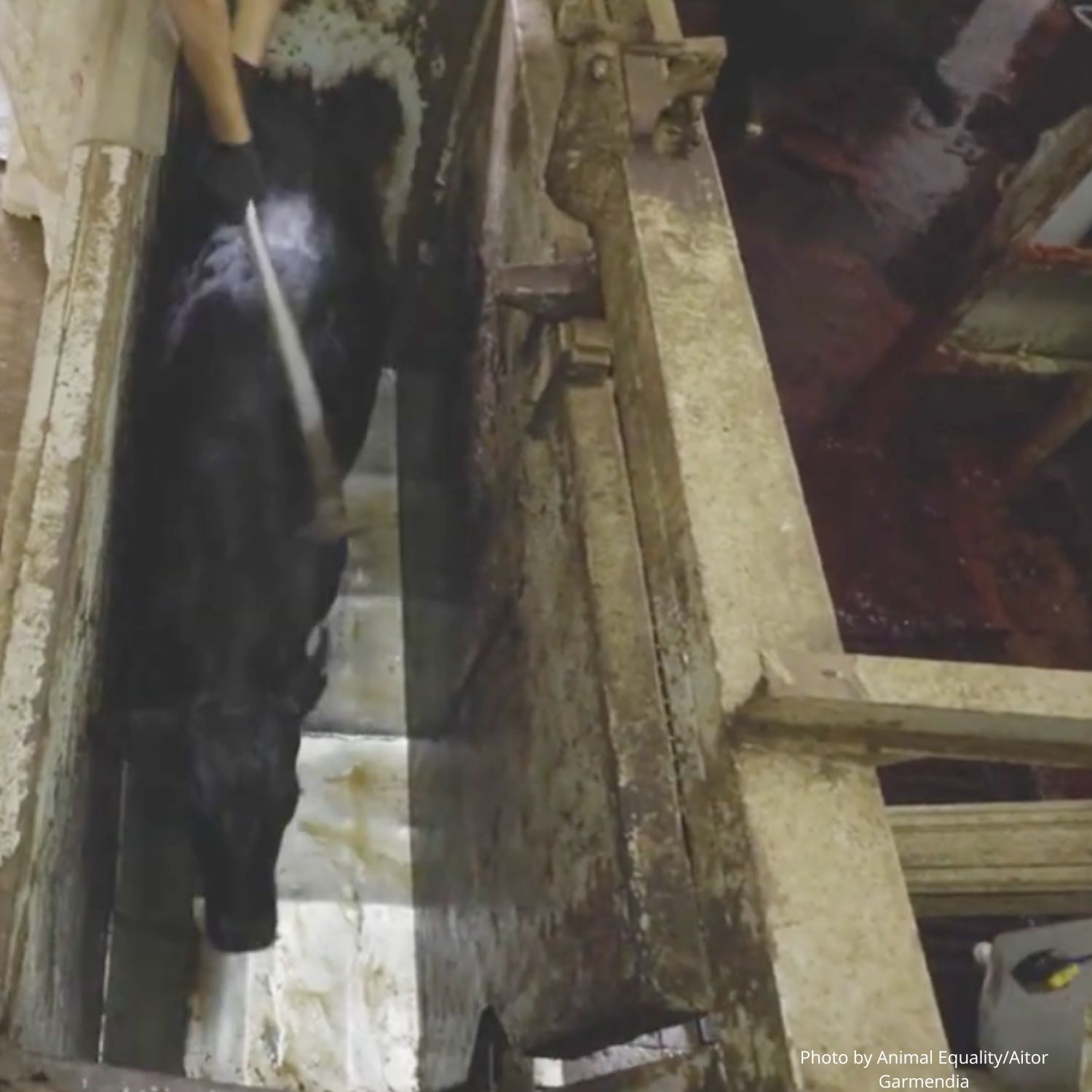 Argentina Investigation Aitor Garmendia 1500x1500