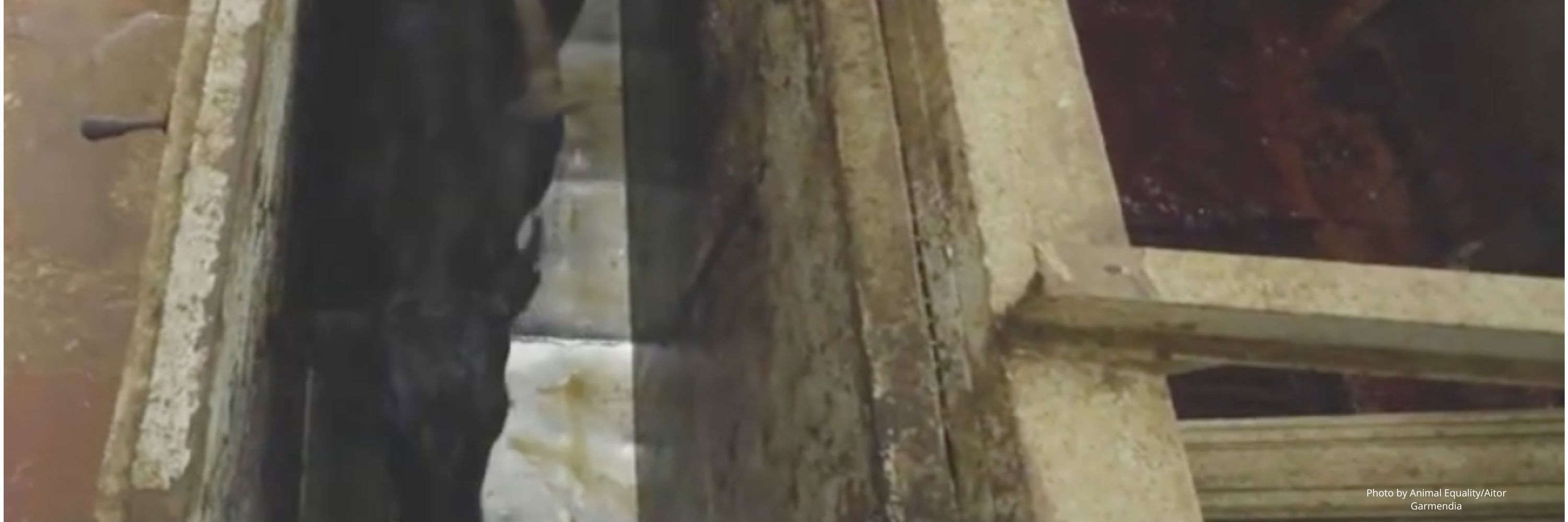 Argentina Investigation Aitor Garmendia (3000 x 1000 px)