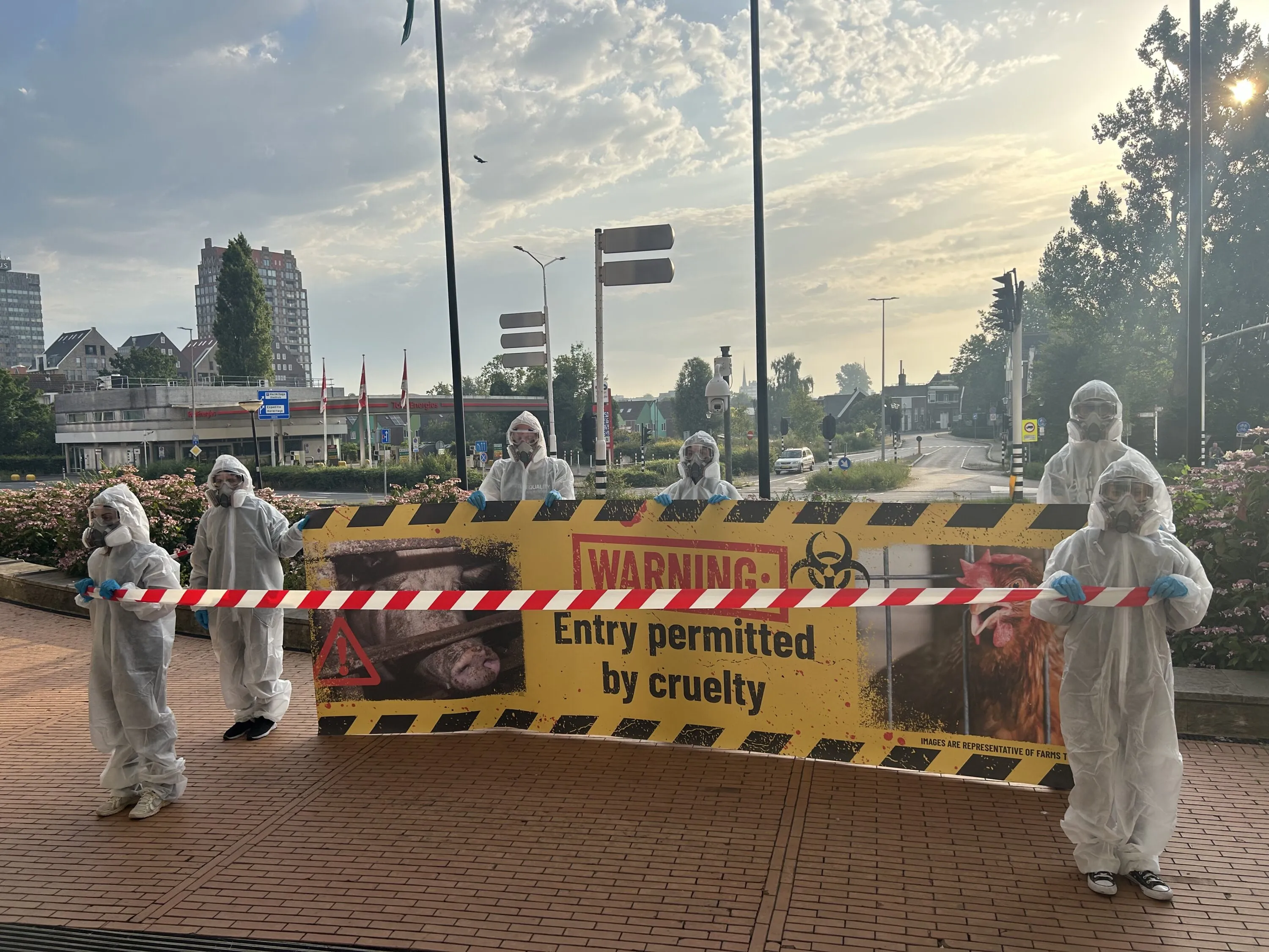 Supermarket chain faces global backlash over delays on delivering on pledge for animals 7