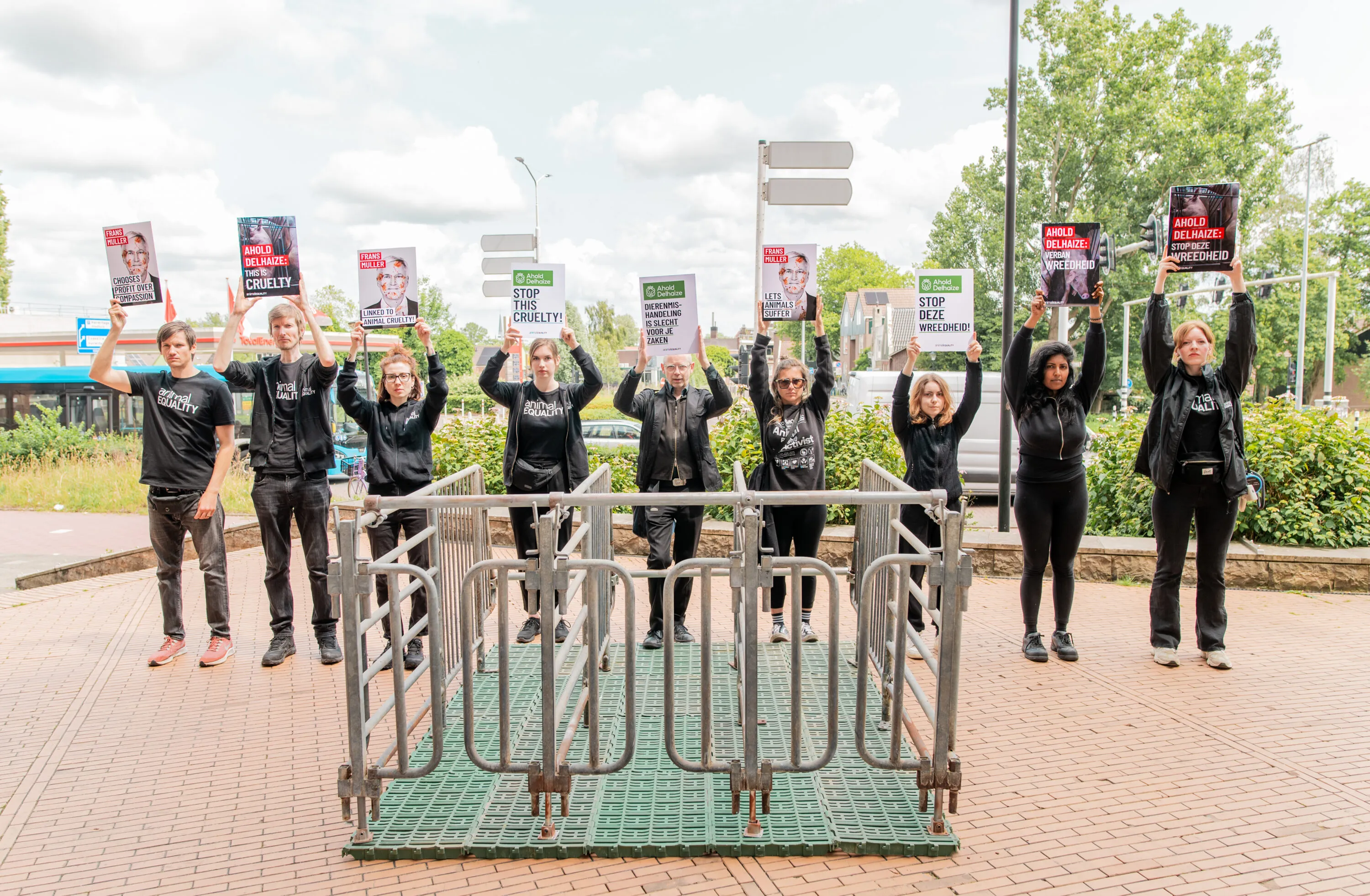 Supermarket chain faces global backlash over delays on delivering on pledge for animals 8