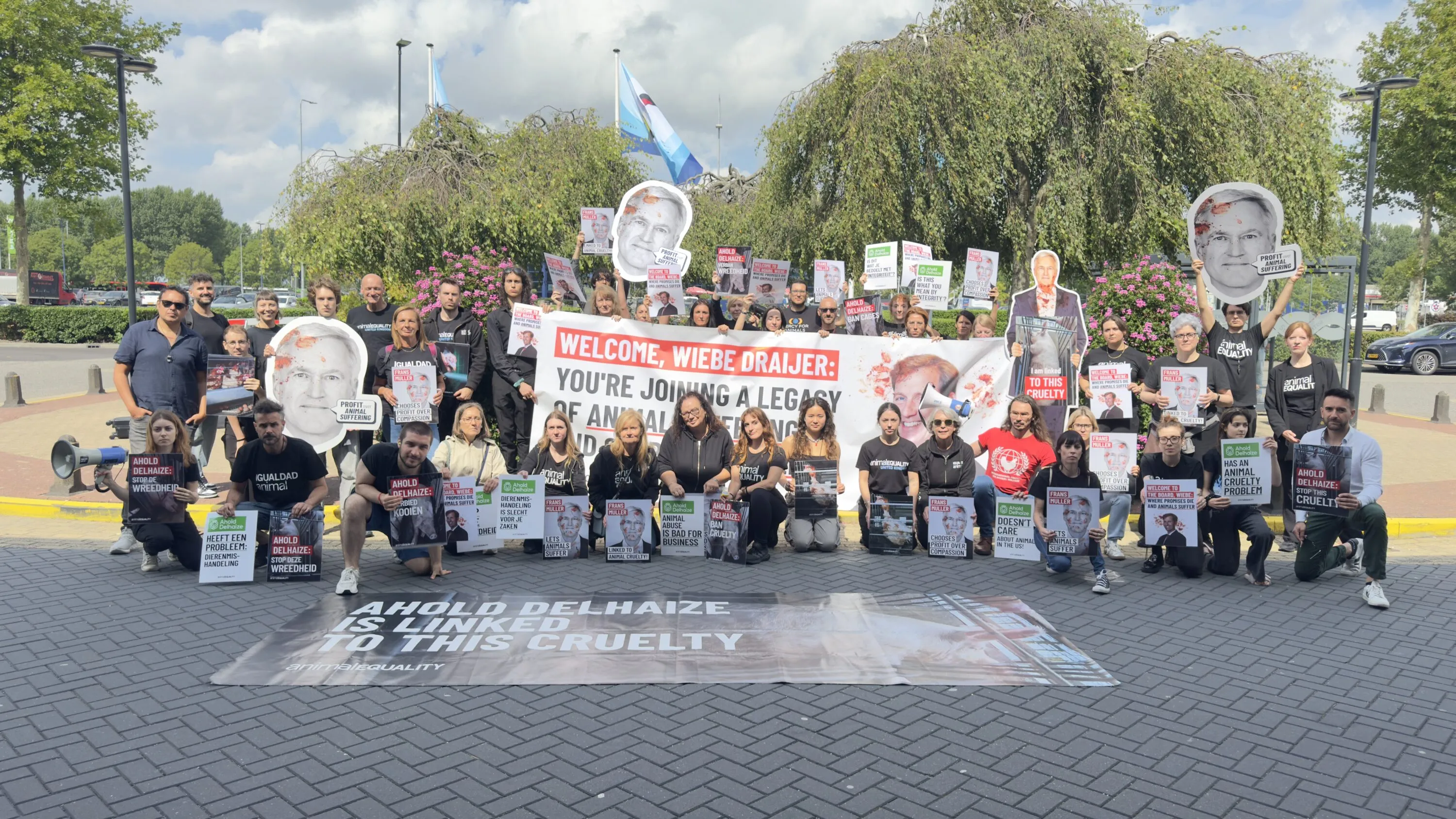 Supermarket chain faces global backlash over delays on delivering on pledge for animals 6