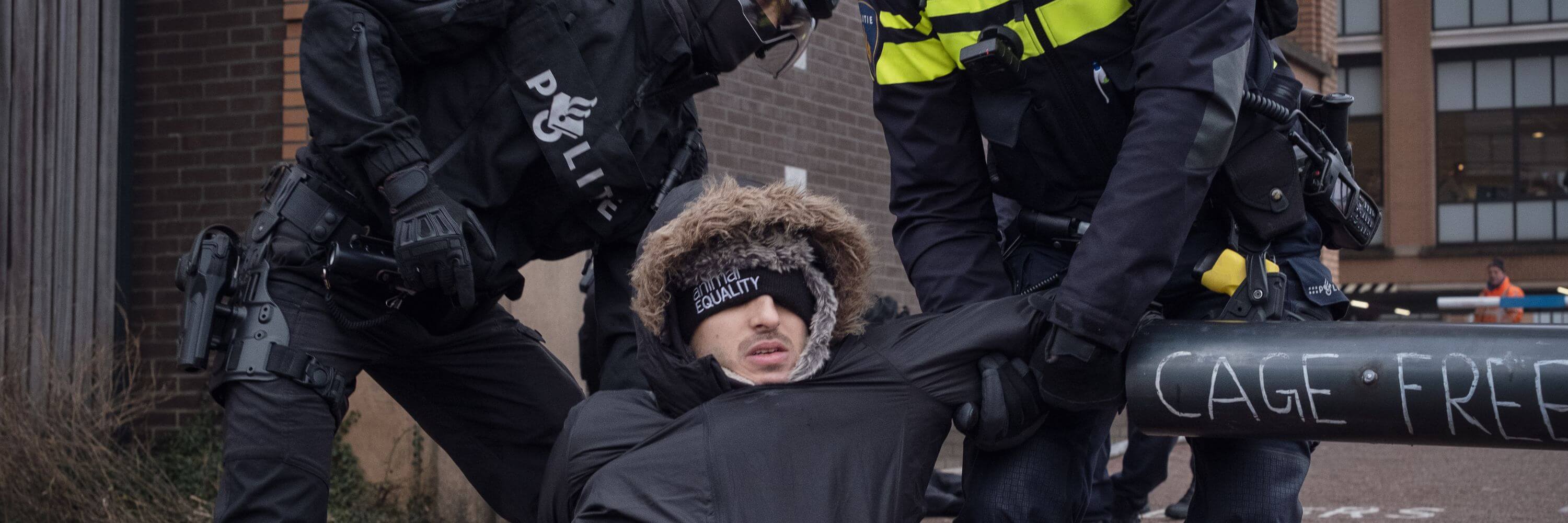 Animal Equality protesters at Ahold Delhaize headquarters demanding cage-free egg supply chain