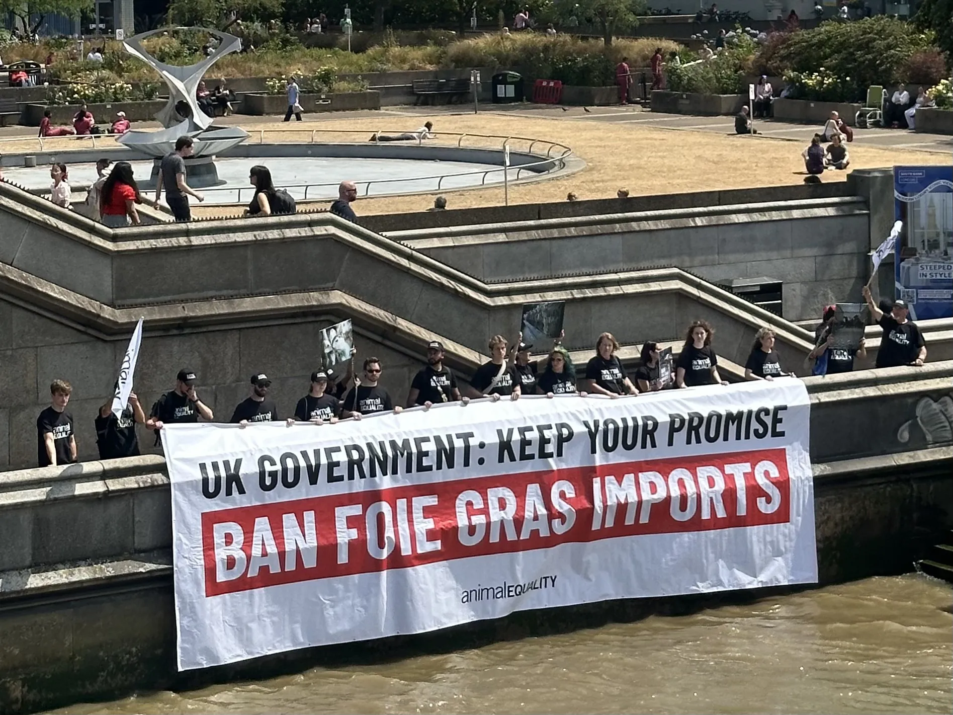Ban foie gras imports in the UK 5