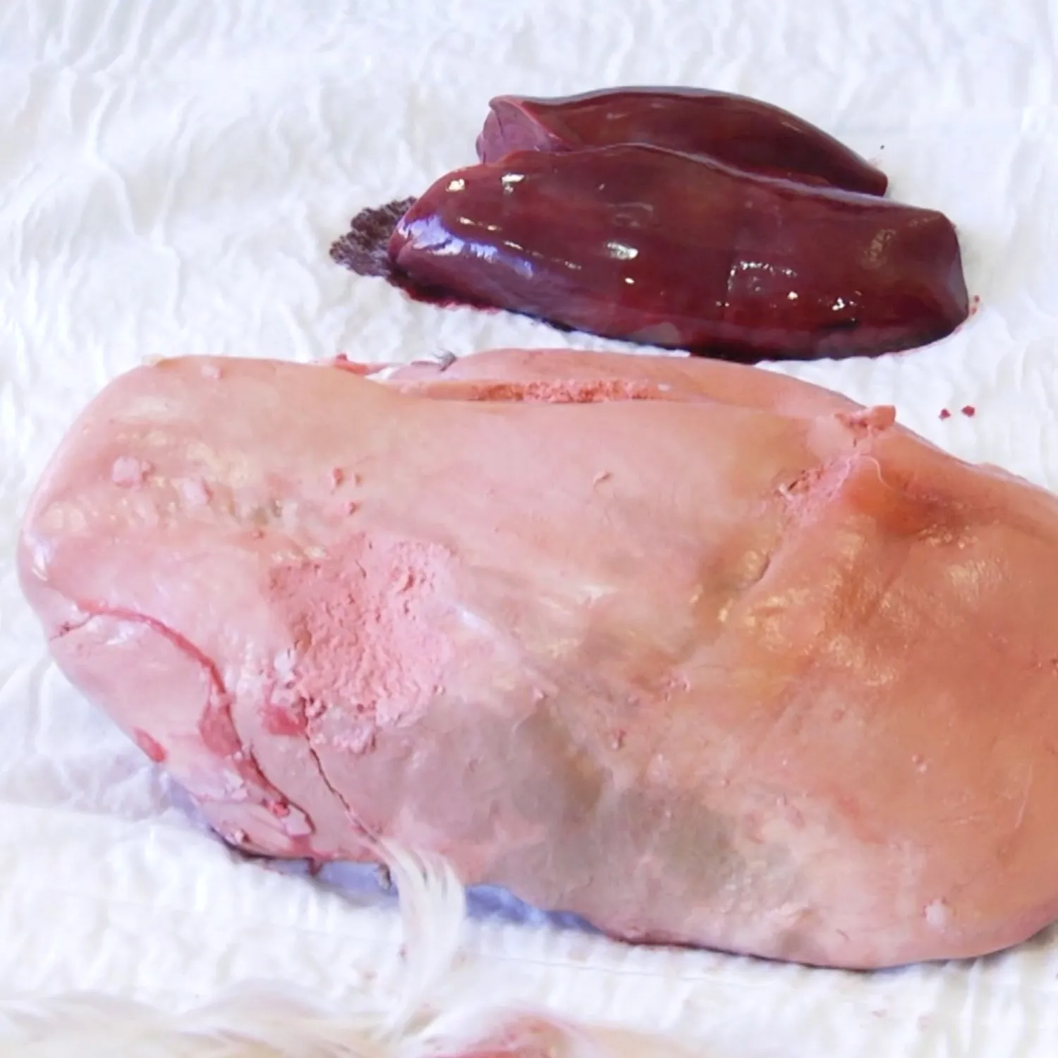 Duck goose liver for foie gras