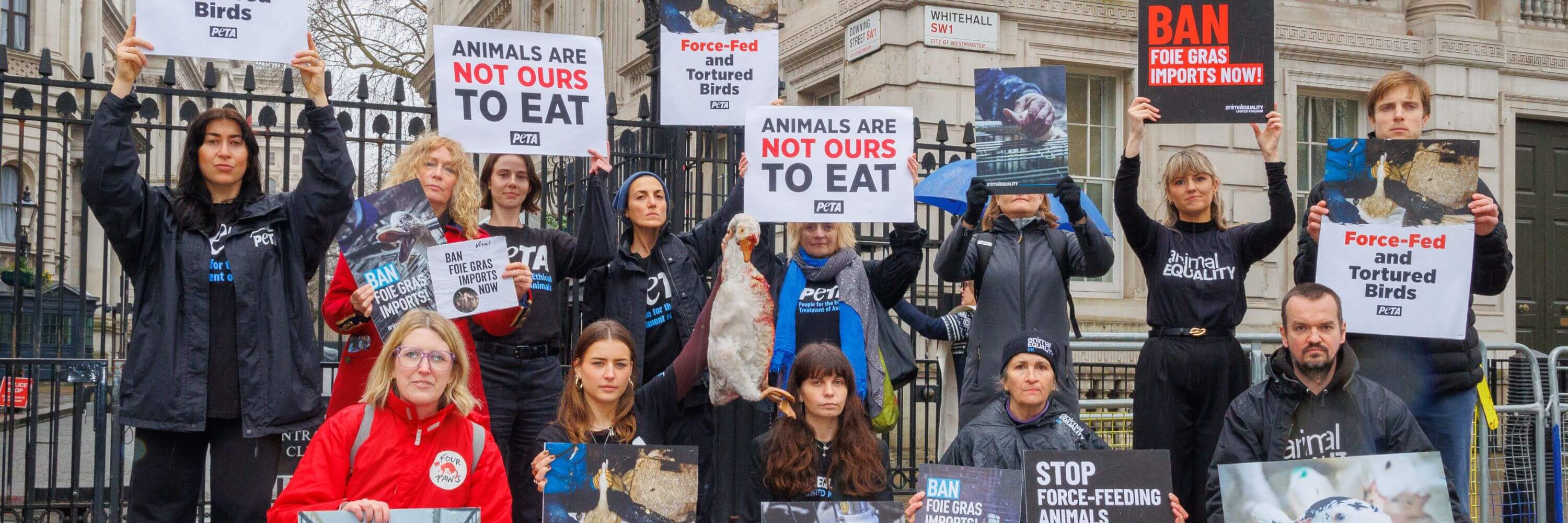 Foie Gras petition hand in (3000 x 1000 px)