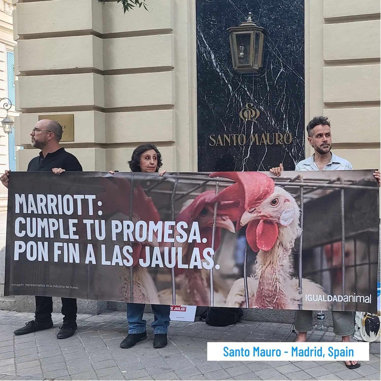 Santo mauro-1500x1500